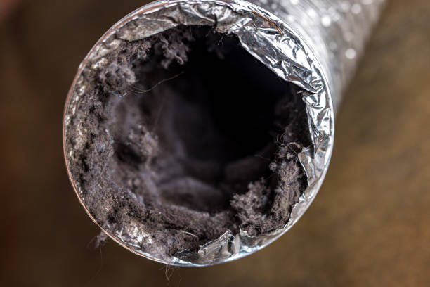 Best Air Duct Cleaning Near Me  in Hampton Bays, NY